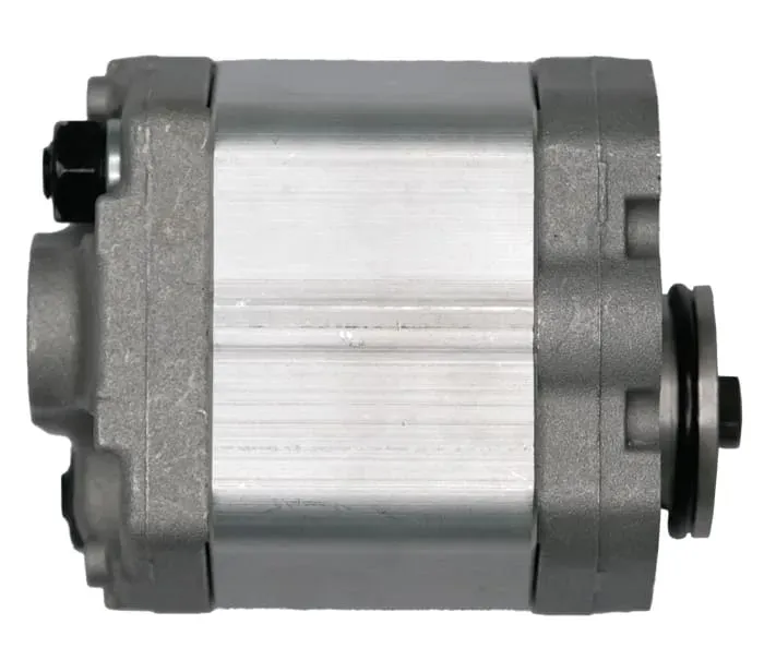 Насос шестеренчатый (чугун)  0301014 CBD-F203.3-L1BL-BA купить