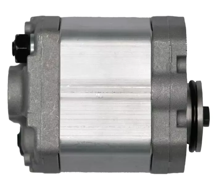 Насос шестеренчатый (чугун)  0301014 CBD-F203.3-L1BL-BA купить