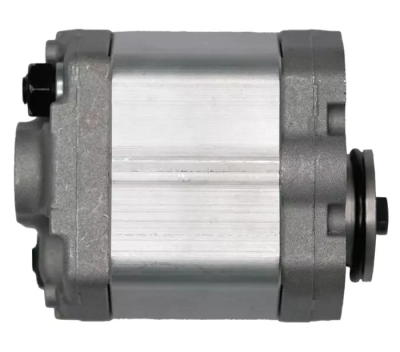 Насос шестеренчатый (чугун)  0301005 CBD1-F2-4.2L4Z-CC